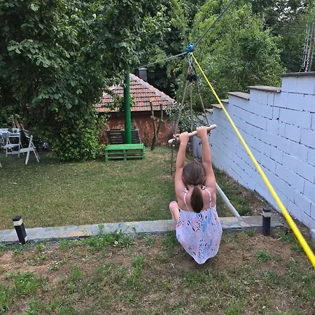 Seosko Domacinstvo Trajkovic Venkovský dům Mladenovac (Pcinja)